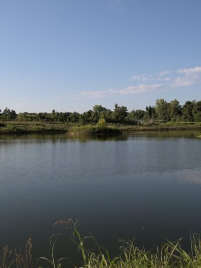 Horse Fork Creek Park - Owensboro, KY