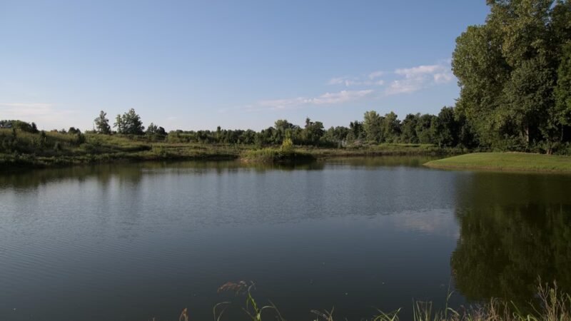 Horse Fork Creek Park - Owensboro, KY