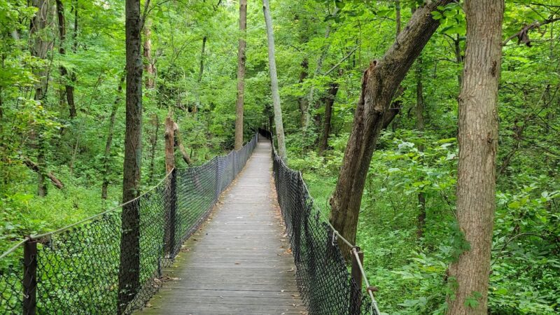 Panther Creek Park - Owensboro, KY