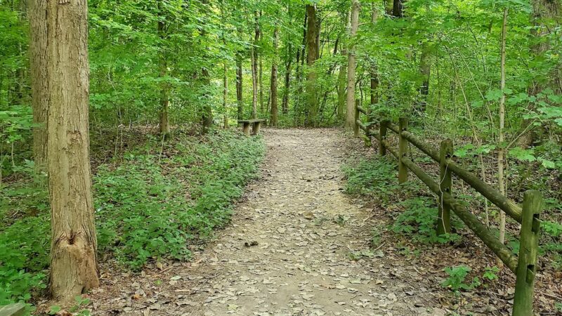 Panther Creek Park - Owensboro, KY