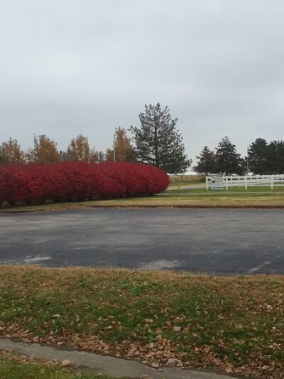 Thompson-Berry Park - Owensboro, KY