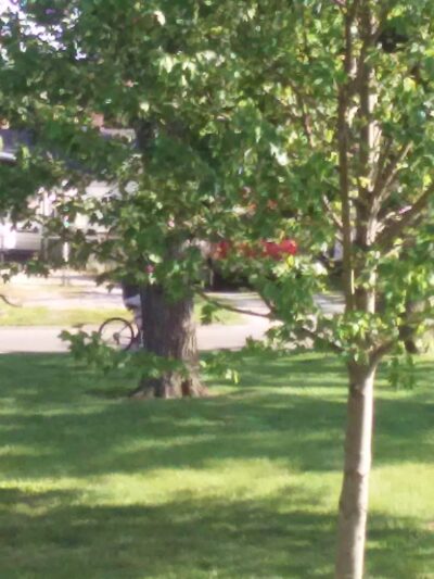 York Park - Owensboro, KY