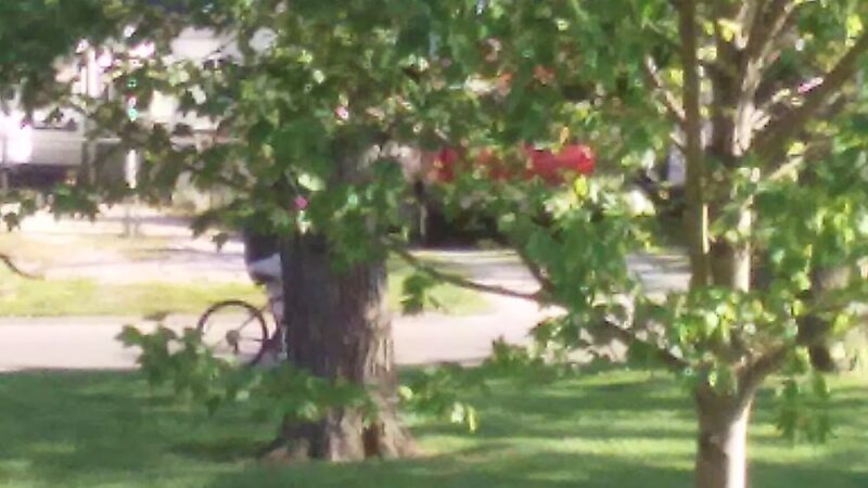 York Park - Owensboro, KY