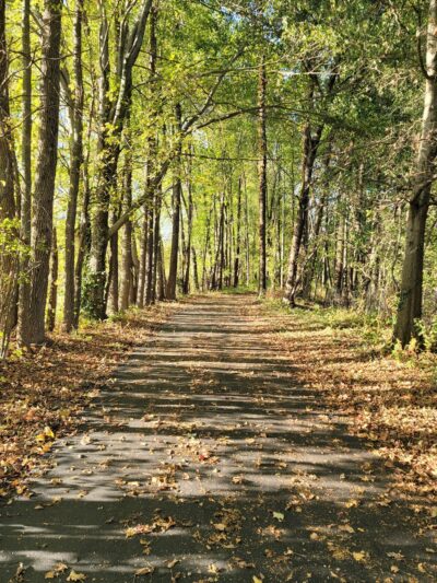 Rudy Mines Mountain Bike Trails At Ben Hawes Park - Owensboro, KY