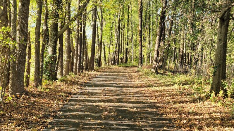 Rudy Mines Mountain Bike Trails At Ben Hawes Park - Owensboro, KY