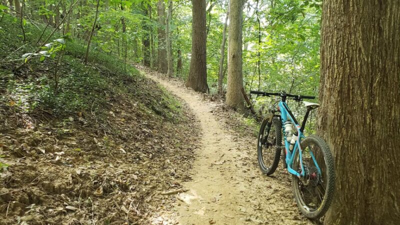 Rudy Mines Mountain Bike Trails At Ben Hawes Park - Owensboro, KY