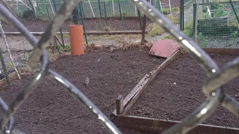 Central Park - Owings Mills, MD