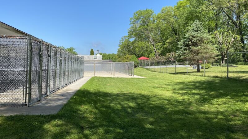 Deer Park Kennels - Owings Mills, MD