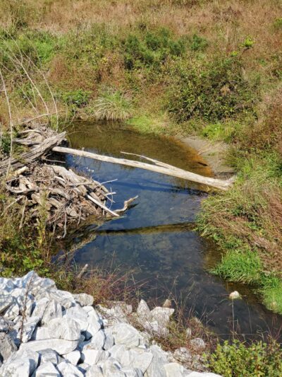 Red Run Valley Stream Trail - Owings Mills, MD