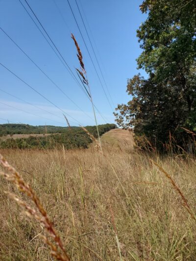 Red Run Valley Stream Trail - Owings Mills, MD