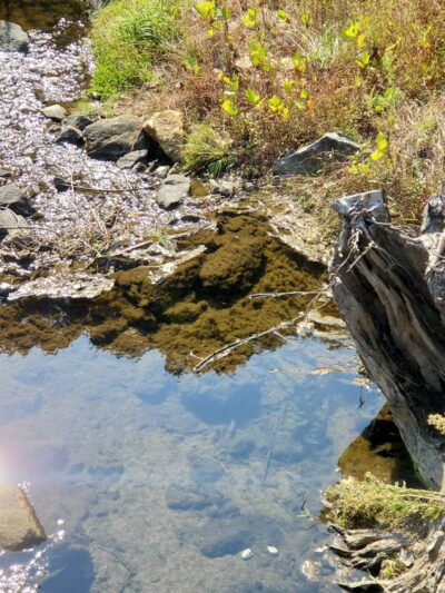 Red Run Valley Stream Trail - Owings Mills, MD
