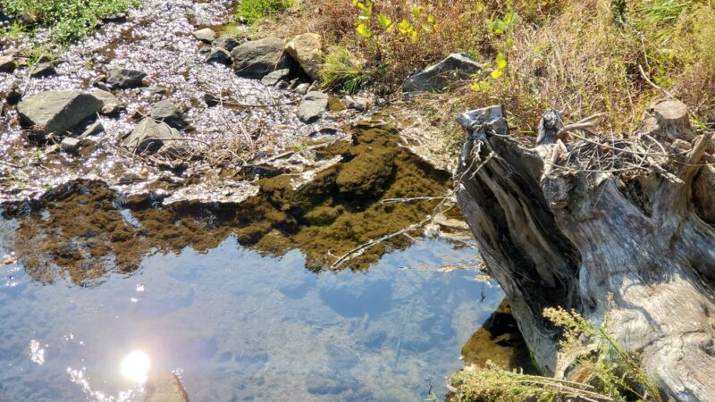 Red Run Valley Stream Trail - Owings Mills, MD