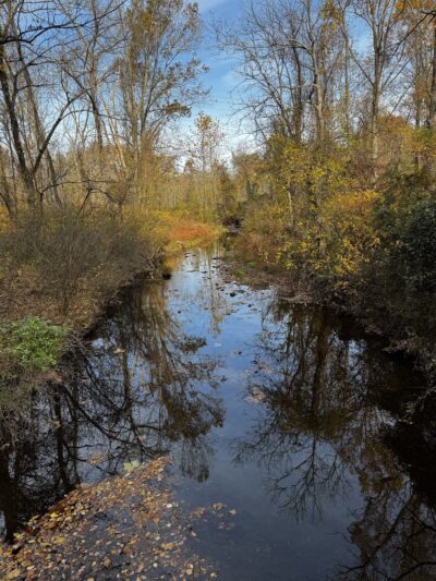 Red Run Valley Stream Trail - Owings Mills, MD