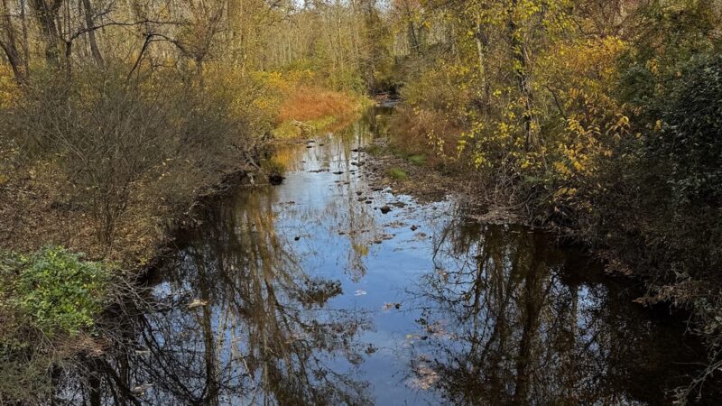 Red Run Valley Stream Trail - Owings Mills, MD