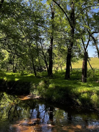 Red Run Valley Trail - Run Blvd Entrance & Parking Lot - Owings Mills, MD