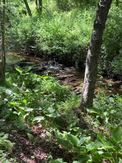 Red Run Valley Trail - Run Blvd Entrance & Parking Lot - Owings Mills, MD