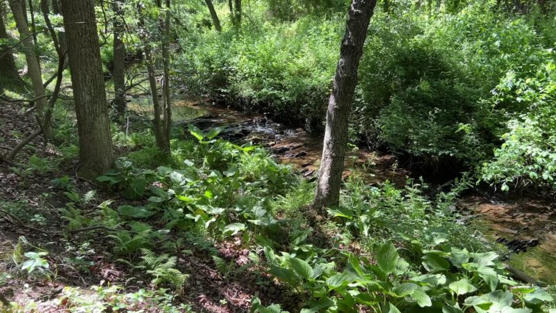 Red Run Valley Trail - Run Blvd Entrance & Parking Lot - Owings Mills, MD