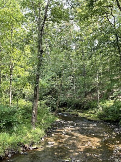 Red Run Valley Trail - Run Blvd Entrance & Parking Lot - Owings Mills, MD