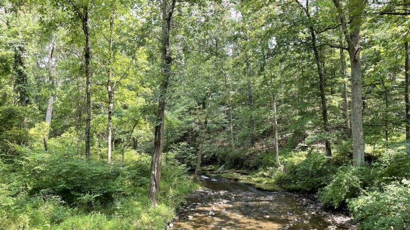 Red Run Valley Trail - Run Blvd Entrance & Parking Lot - Owings Mills, MD