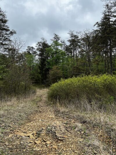 Serpentine Trail - Owings Mills, MD