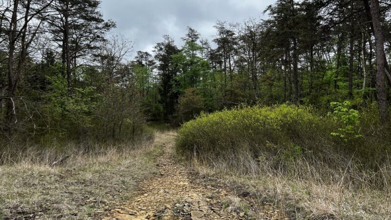 Serpentine Trail - Owings Mills, MD