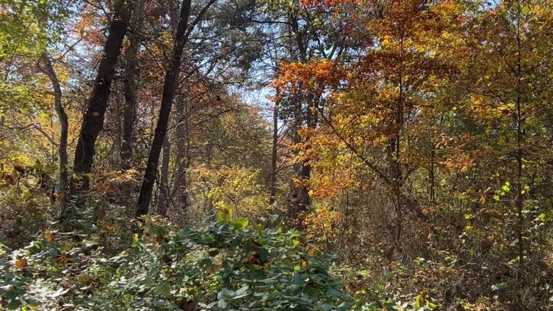 Serpentine Trail - Owings Mills, MD