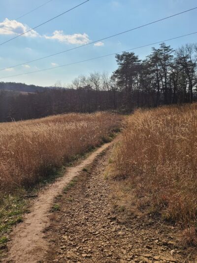 Serpentine Trail - Owings Mills, MD