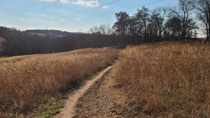 Serpentine Trail - Owings Mills, MD