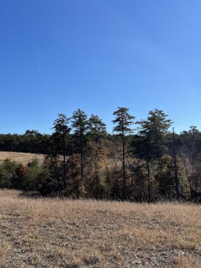 Serpentine Trail - Owings Mills, MD