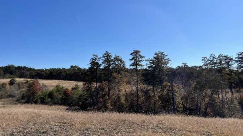 Serpentine Trail - Owings Mills, MD