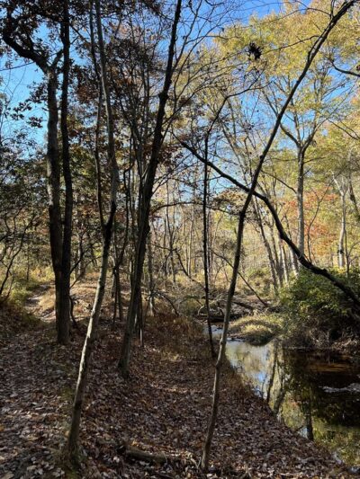 Serpentine Trail - Owings Mills, MD