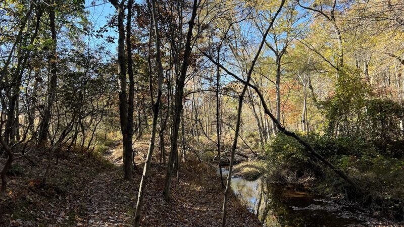 Serpentine Trail - Owings Mills, MD