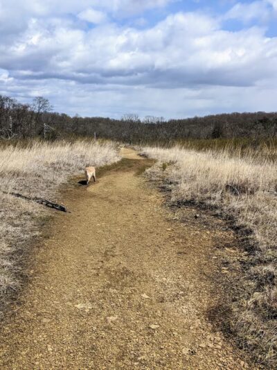 Soldiers Delight Natural Environment Area - Owings Mills, MD