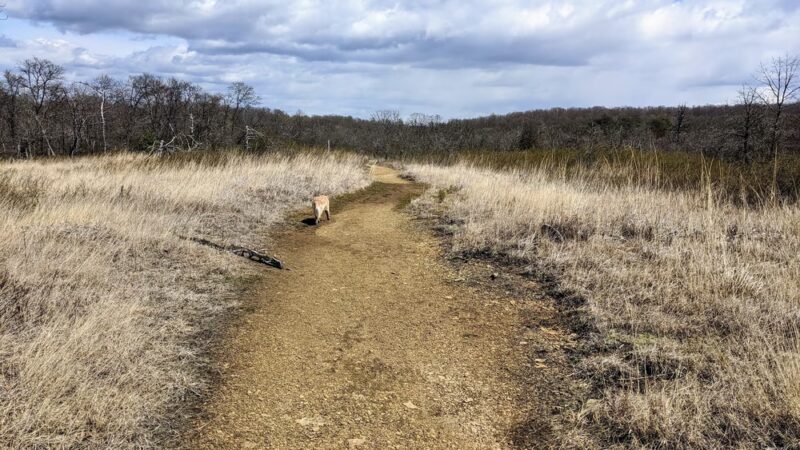 Soldiers Delight Natural Environment Area - Owings Mills, MD