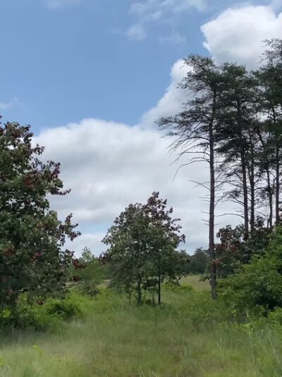 Soldiers Delight Natural Environment Area - Owings Mills, MD