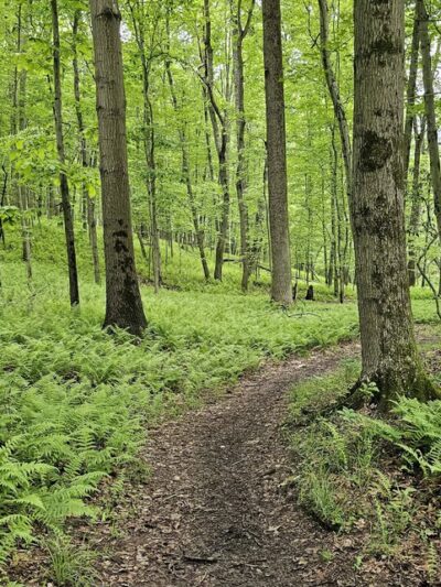 Soldiers Delight Natural Environment Area - Owings Mills, MD