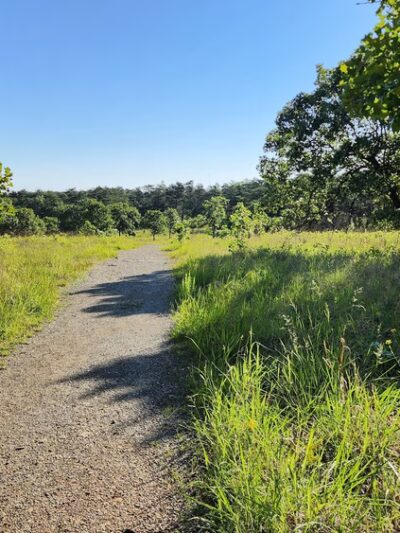 Soldiers Delight Natural Environment Area - Owings Mills, MD