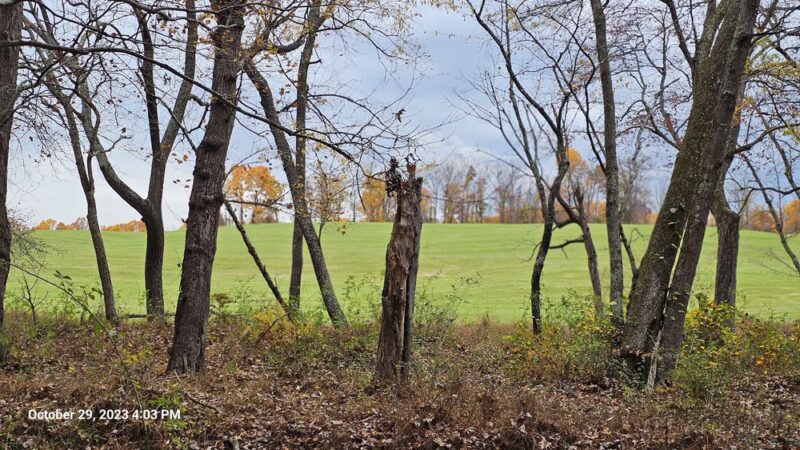Soldiers Delight Natural Environment Area - Owings Mills, MD