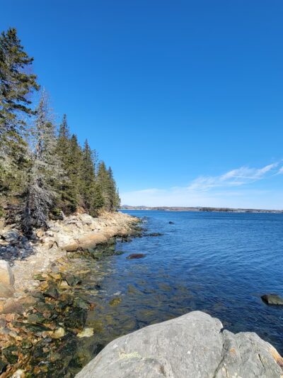 Ash Point Preserve - Owls Head, ME