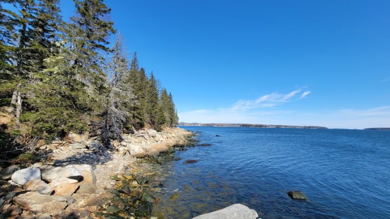 Ash Point Preserve - Owls Head, ME