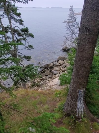 Ash Point Preserve - Owls Head, ME