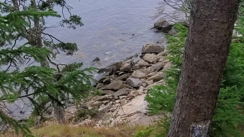 Ash Point Preserve - Owls Head, ME