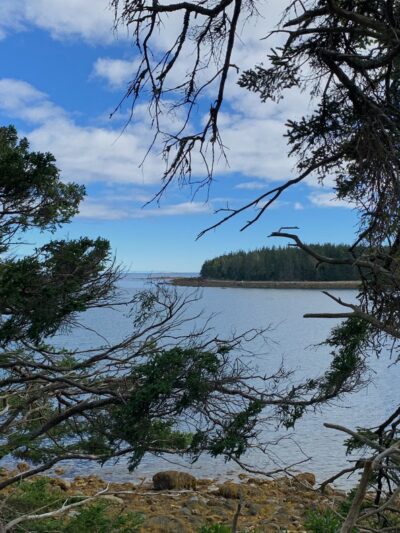 Ash Point Preserve - Owls Head, ME