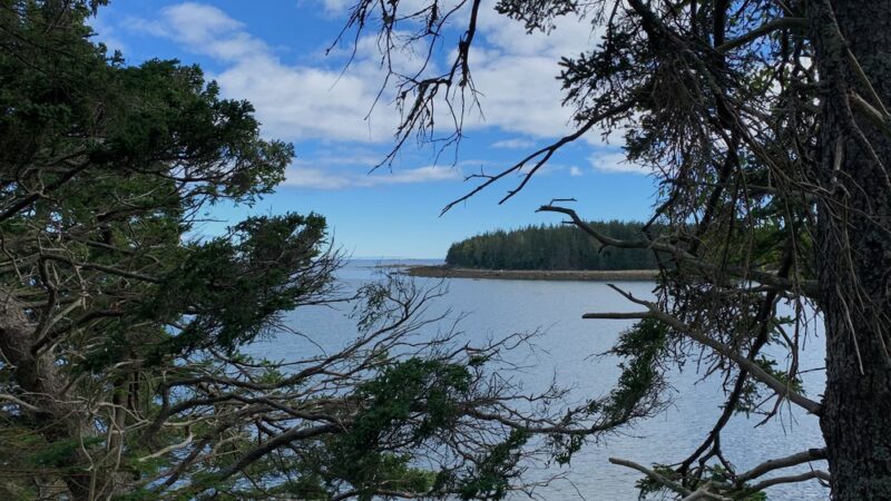 Ash Point Preserve - Owls Head, ME
