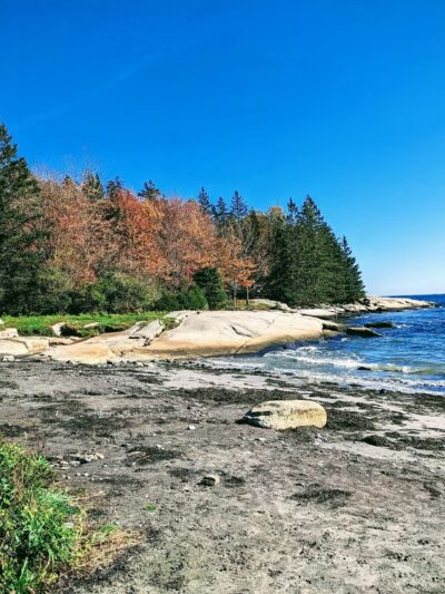 Birch Point State Park - Owls Head, ME