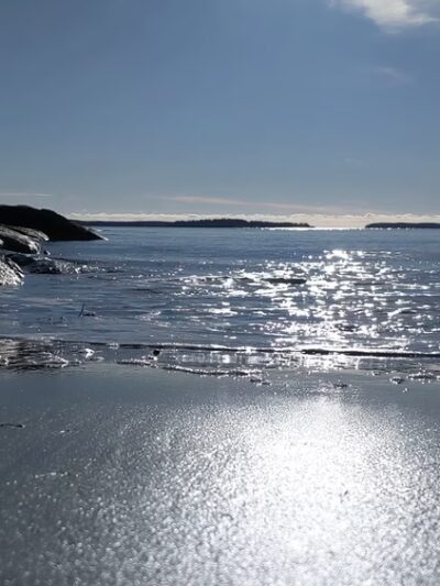 Birch Point State Park - Owls Head, ME