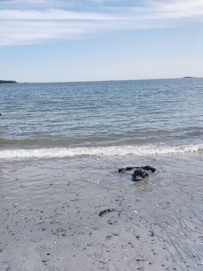 Birch Point State Park - Owls Head, ME