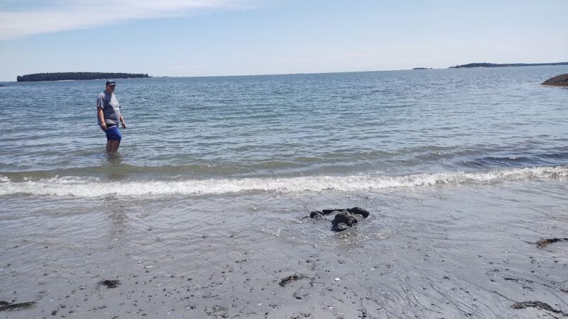 Birch Point State Park - Owls Head, ME