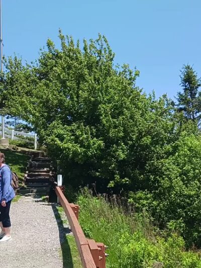 Owls Head State Park - Owls Head, ME