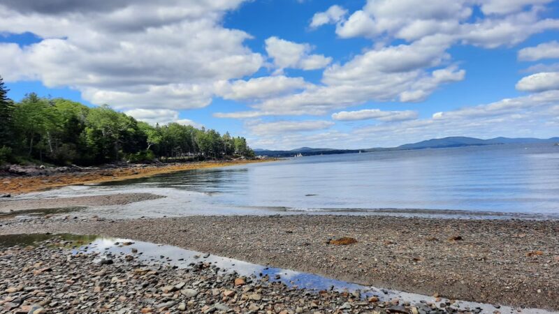 Plaisted Preserve - Owls Head, ME